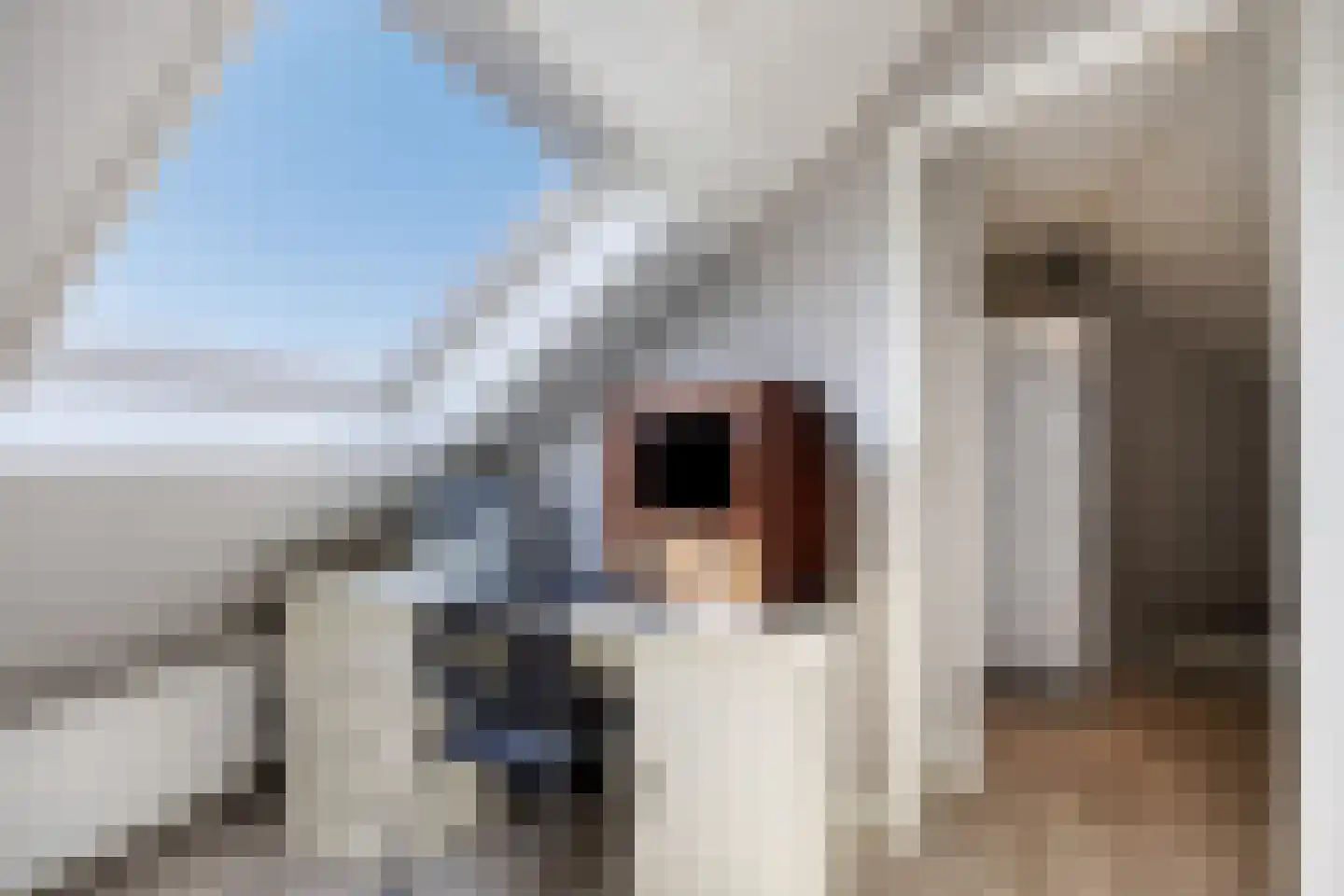 Reeënlaan 45 Lunteren thumbnail 31