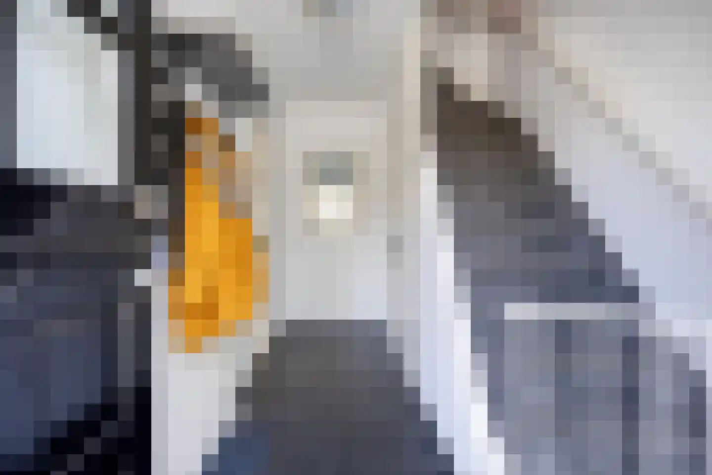 Reeënlaan 45 Lunteren thumbnail 5