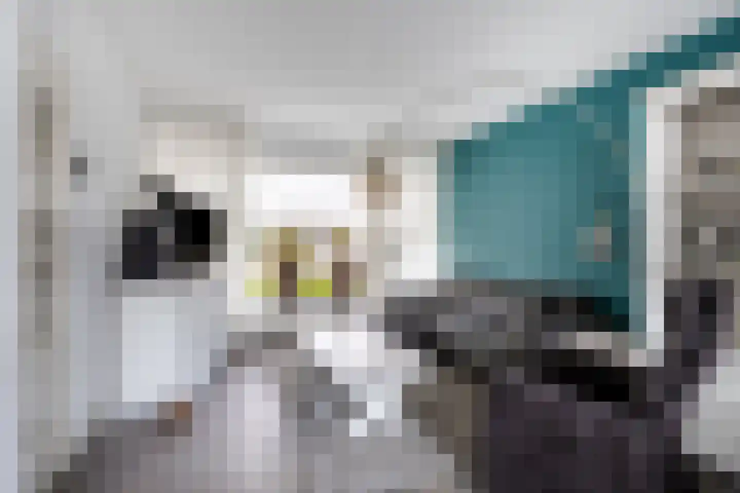 Reeënlaan 45 Lunteren thumbnail 8