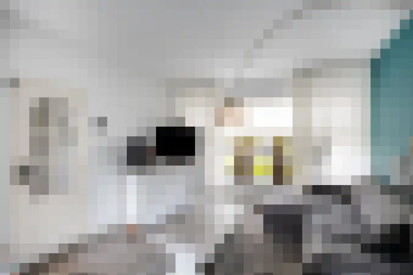 Reeënlaan 45 Lunteren thumbnail 9
