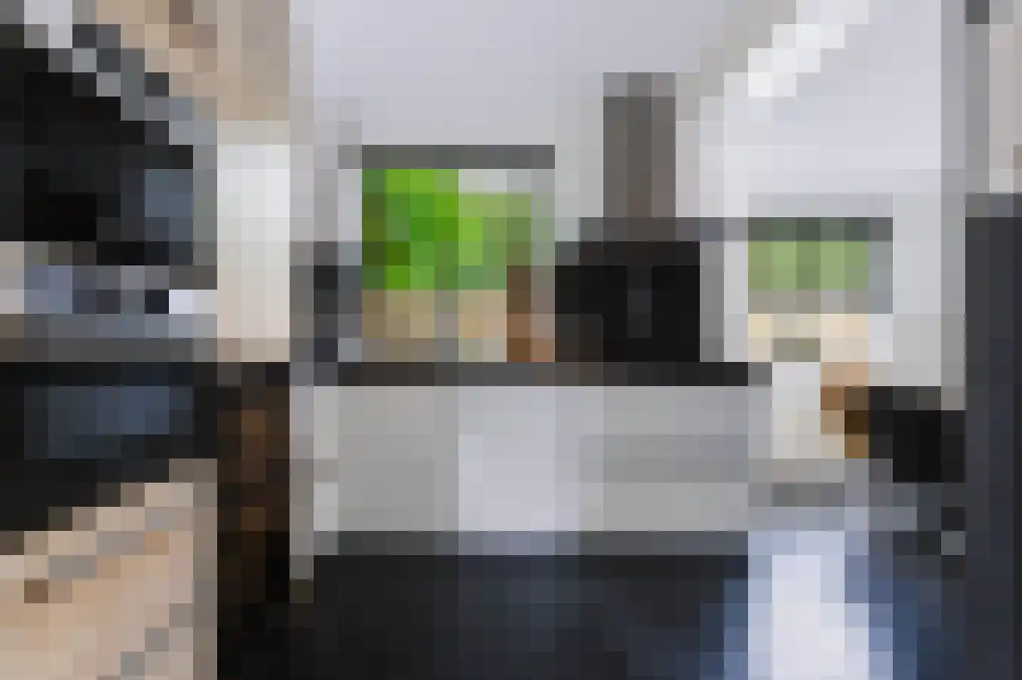 Reeënlaan 46 Apeldoorn thumbnail 12