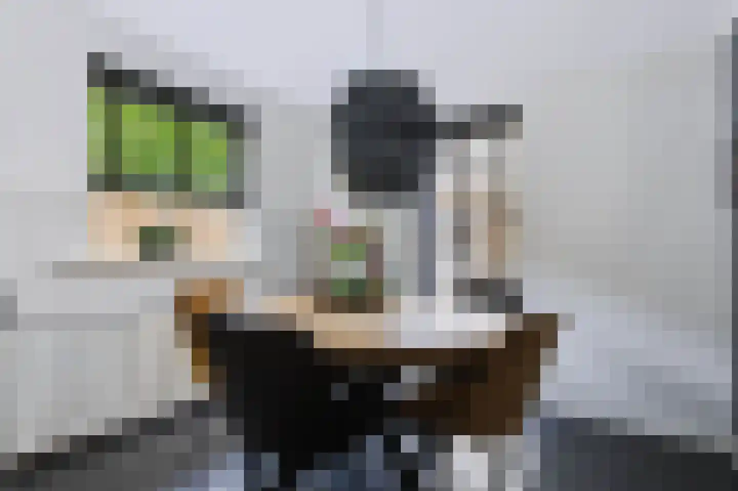 Reeënlaan 46 Apeldoorn thumbnail 15