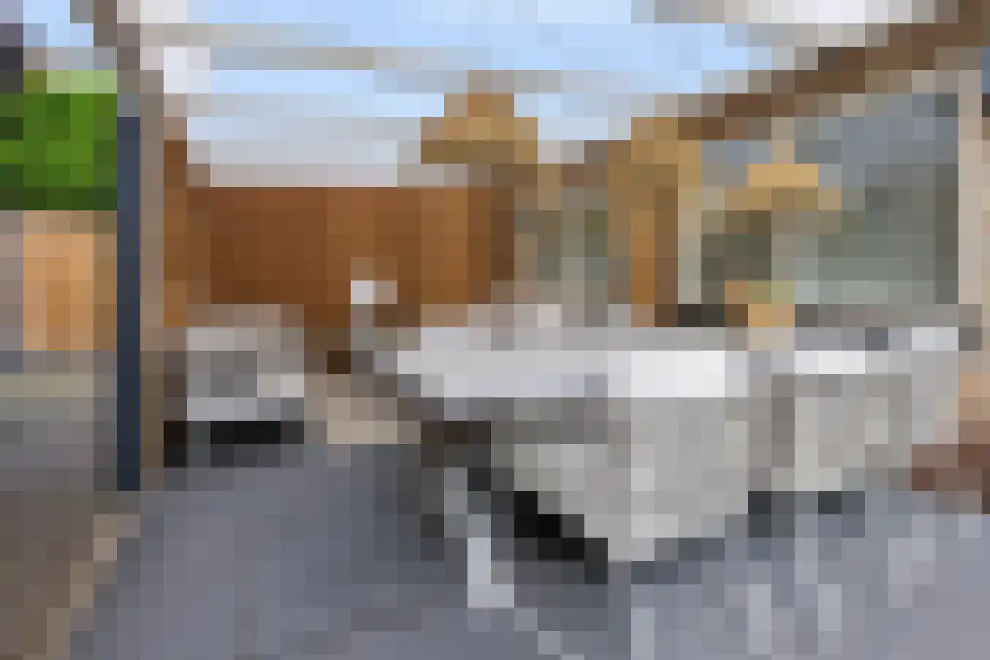 Reeënlaan 46 Apeldoorn thumbnail 30