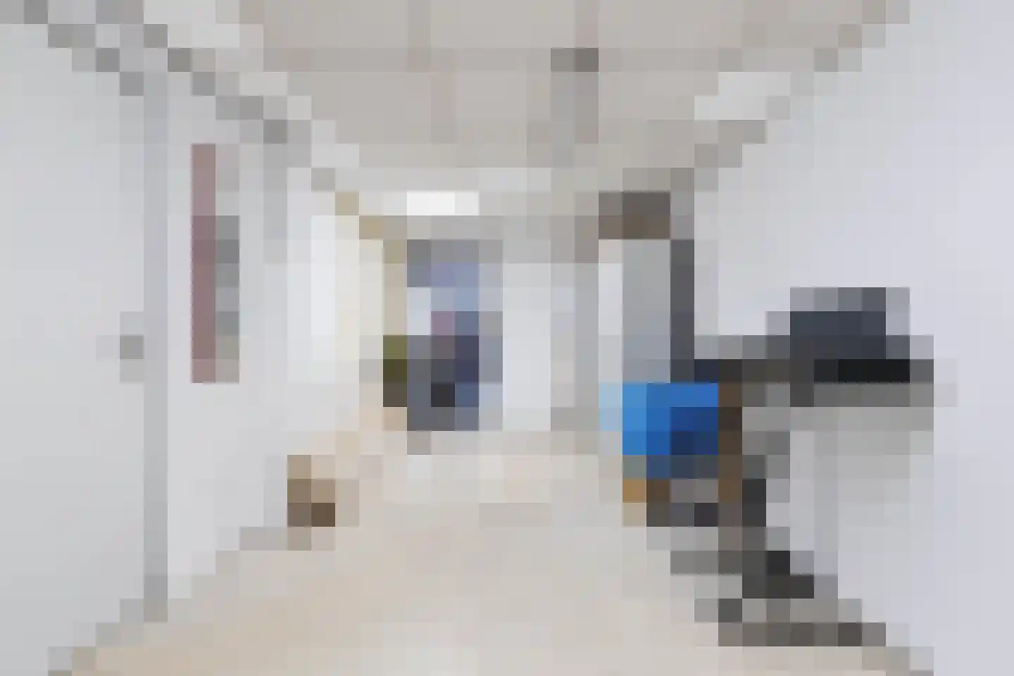 Reeënlaan 46 Apeldoorn thumbnail 34