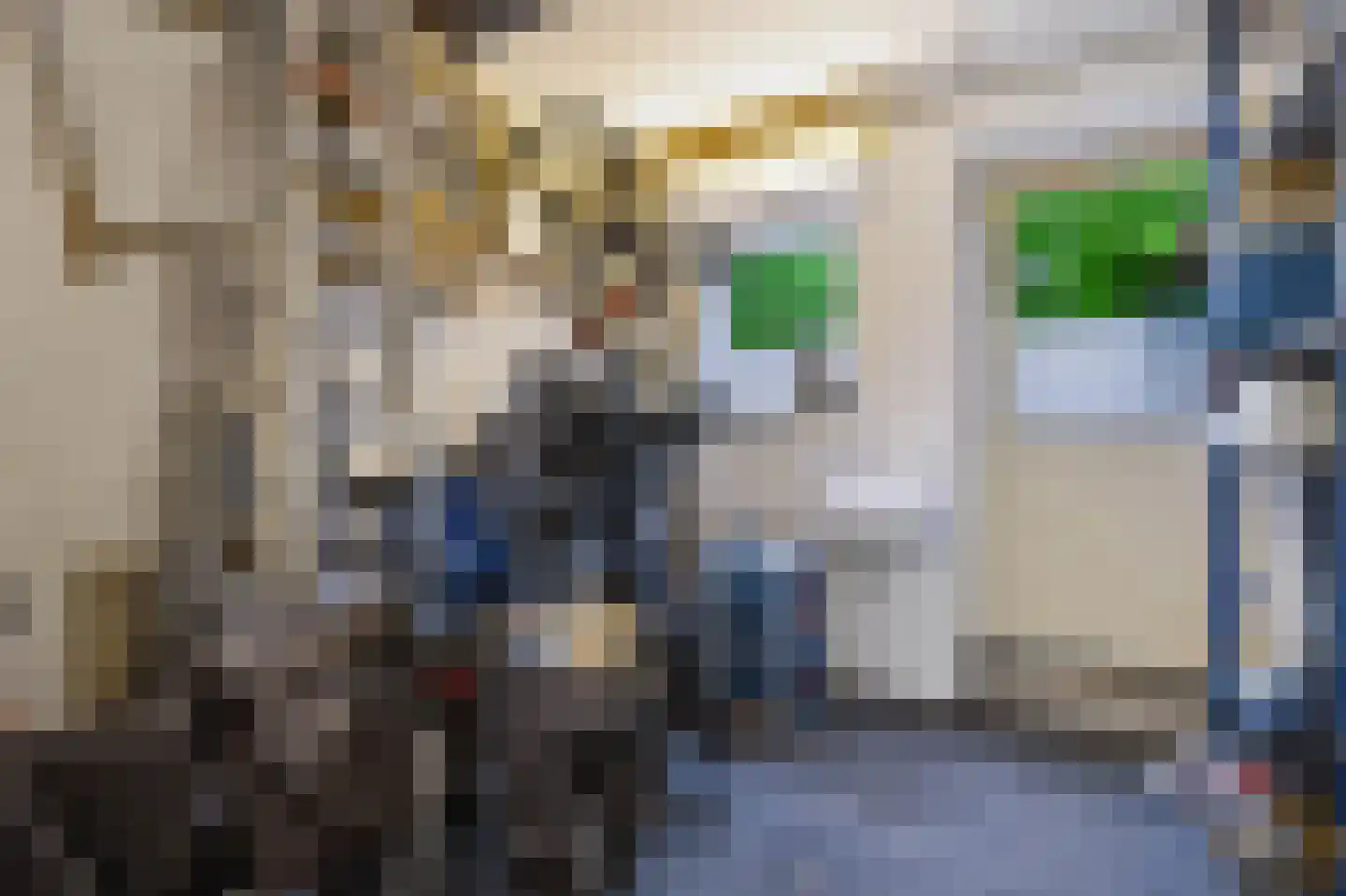 Reeënlaan 46 Apeldoorn thumbnail 36