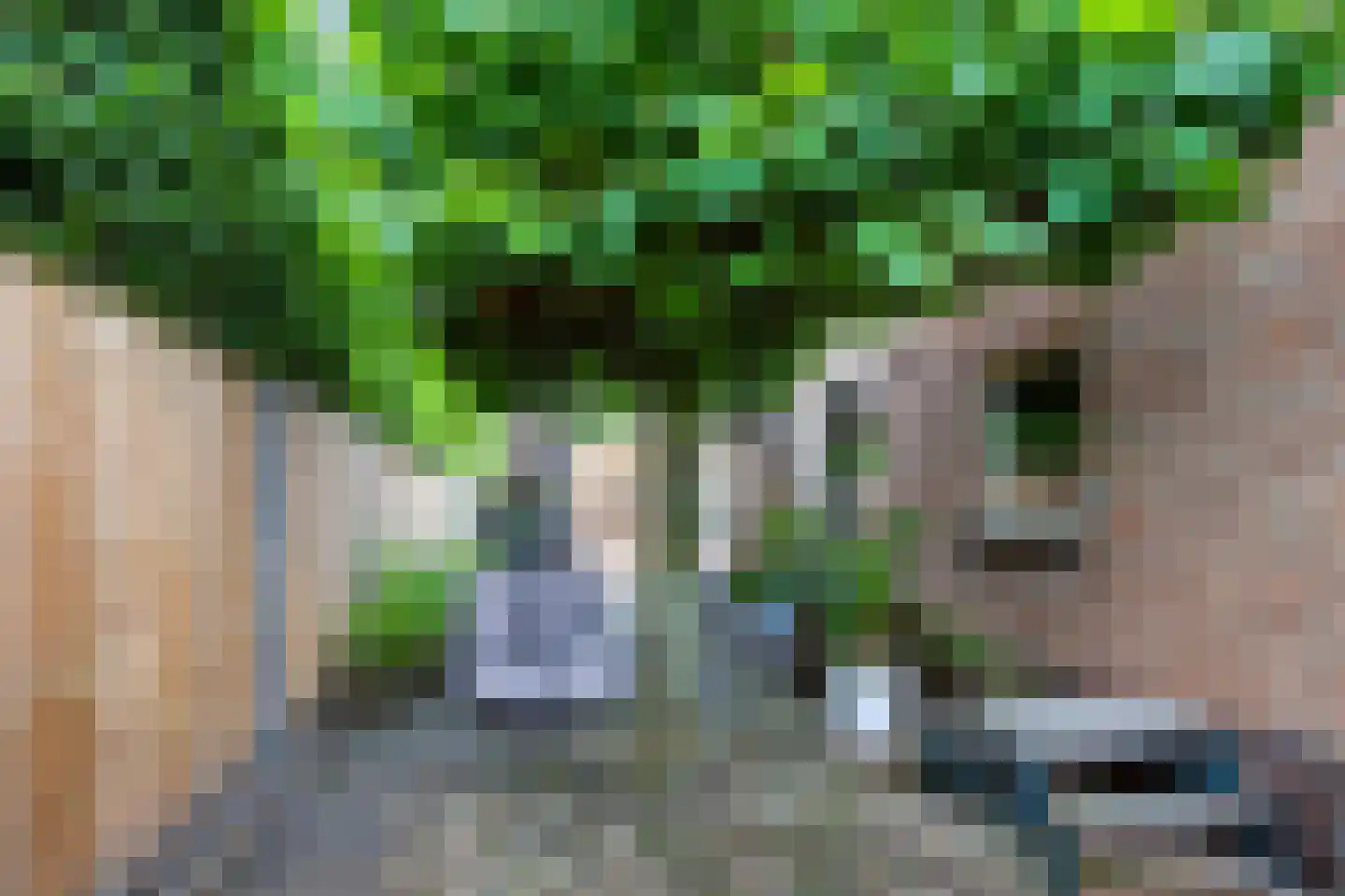 Reeënlaan 46 Apeldoorn thumbnail 39
