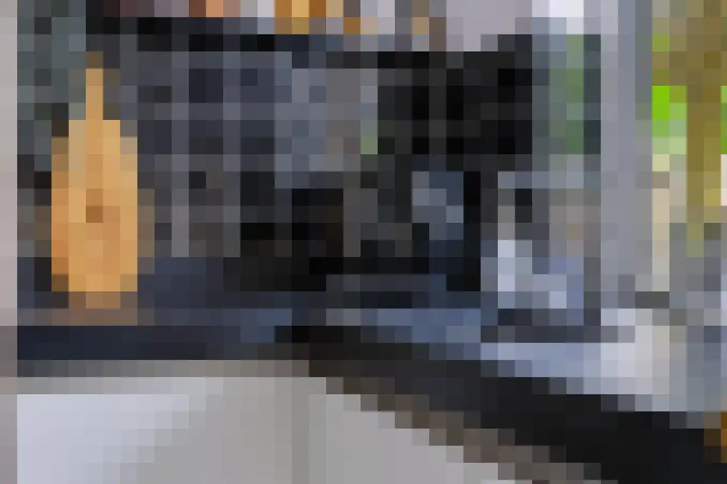 Reeënlaan 46 Apeldoorn thumbnail 4