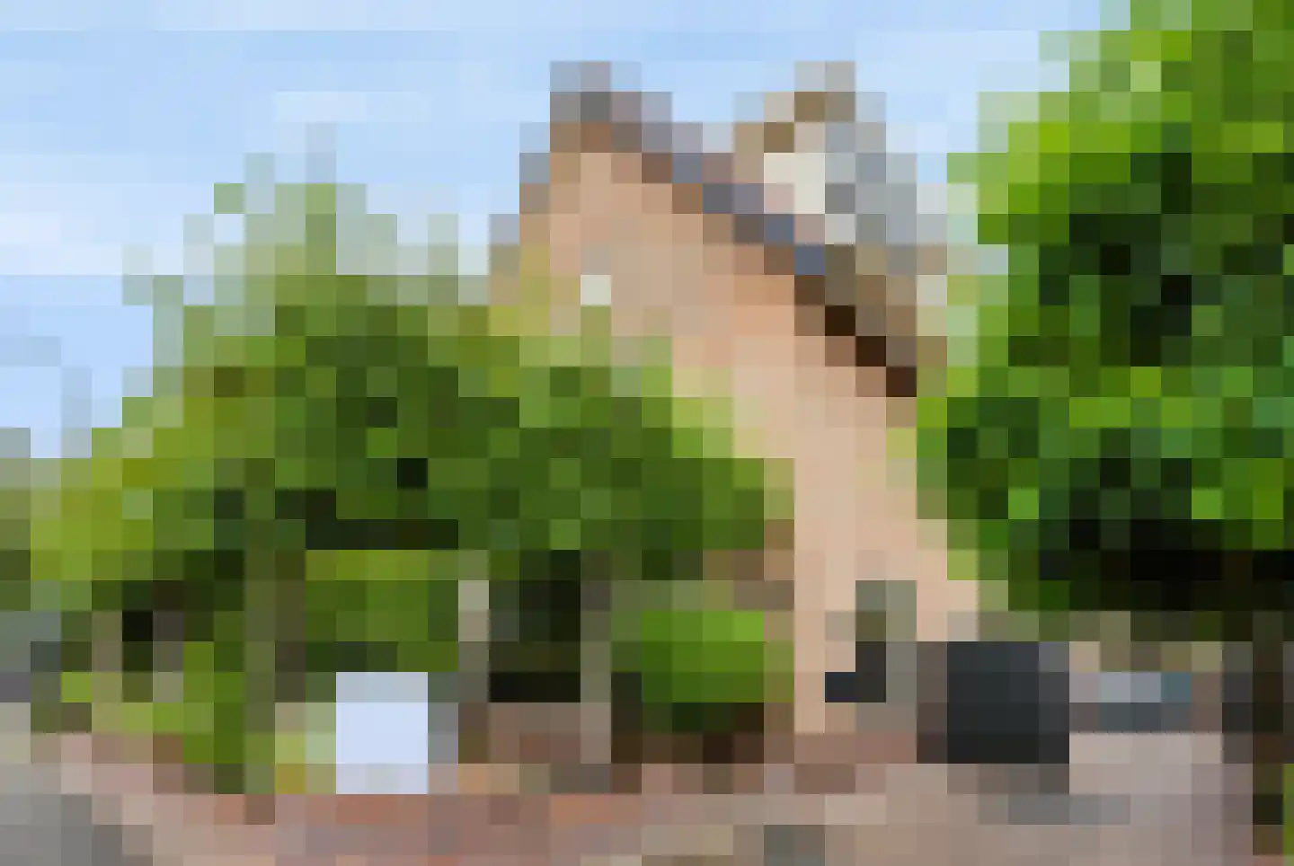 Reeënlaan 46 Apeldoorn thumbnail 42
