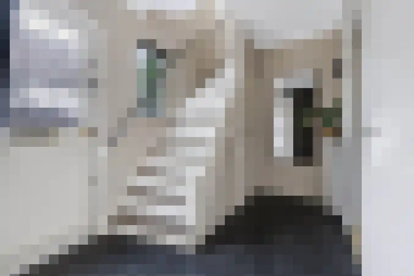 Reeënlaan 46 Apeldoorn thumbnail 6