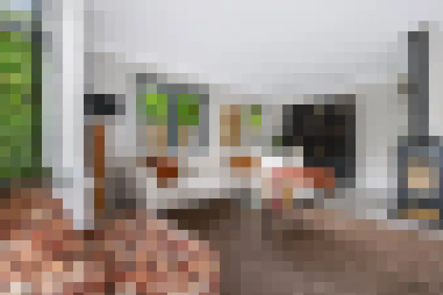Reeënlaan 46 Apeldoorn thumbnail 8