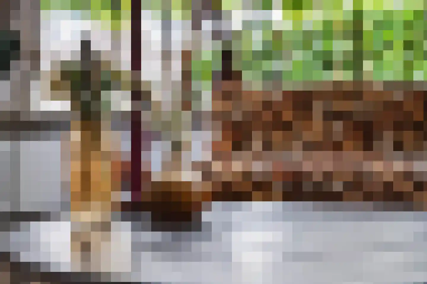 Reeënlaan 46 Apeldoorn thumbnail 9