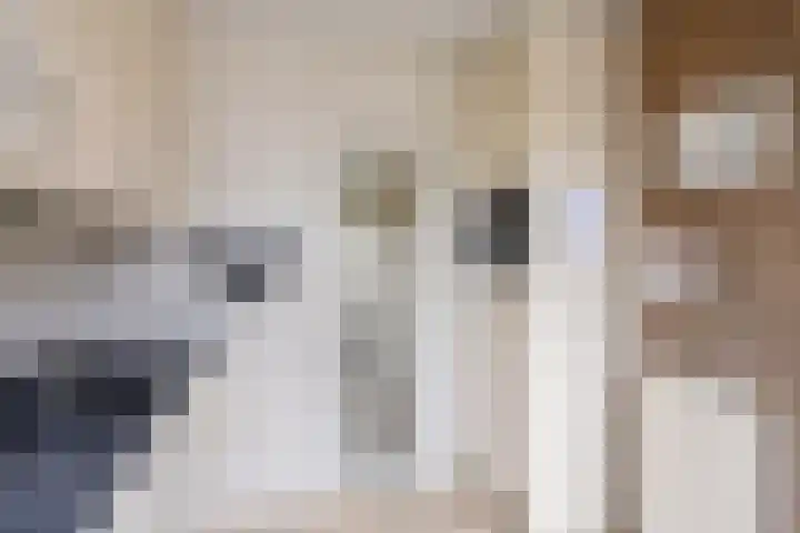 Reeënlaan 49 Lunteren thumbnail 11
