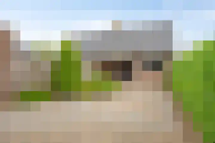 Reeënlaan 49 Lunteren thumbnail 27