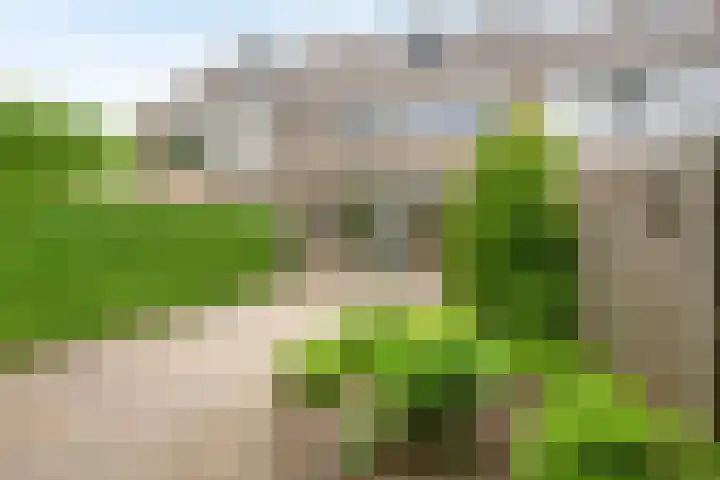 Reeënlaan 49 Lunteren thumbnail 28