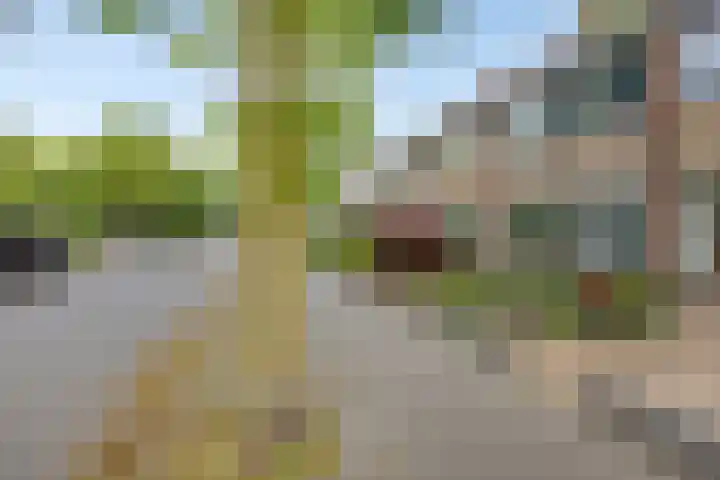 Reeënlaan 49 Lunteren thumbnail 33