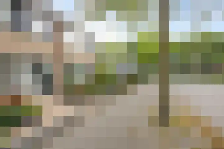 Reeënlaan 49 Lunteren thumbnail 34