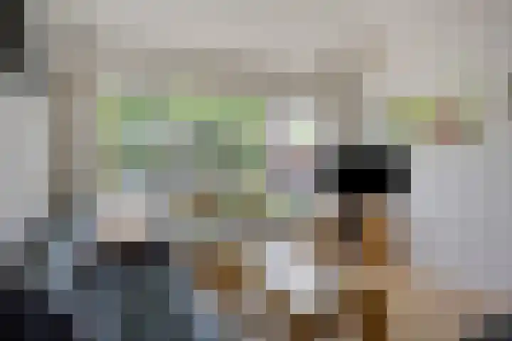 Reeënlaan 49 Lunteren thumbnail 4