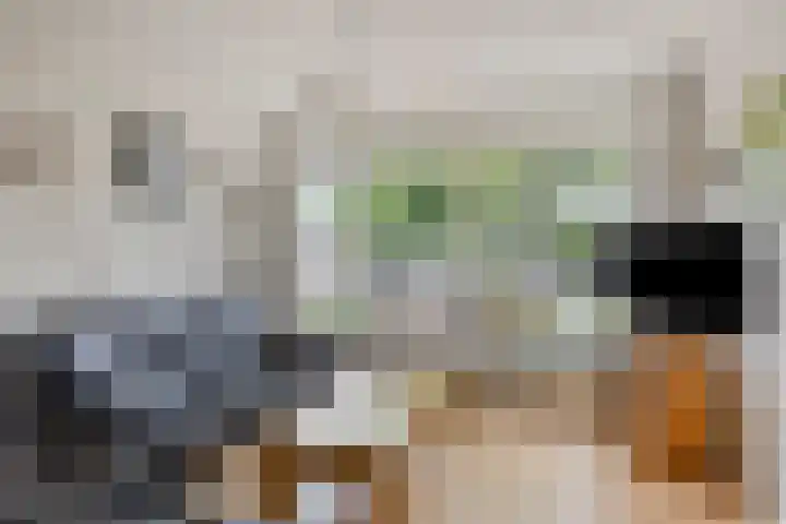 Reeënlaan 49 Lunteren thumbnail 5