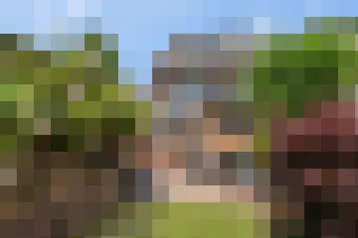Reeënlaan 7 Lunteren foto 2