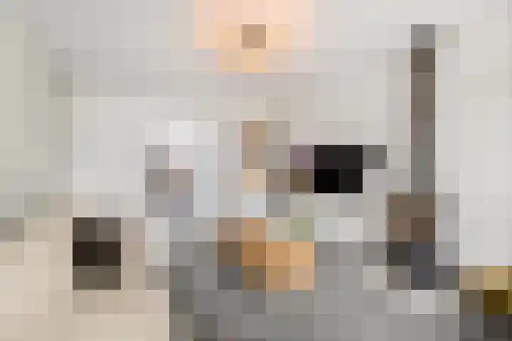 Reeënlaan 7 Lunteren thumbnail 21