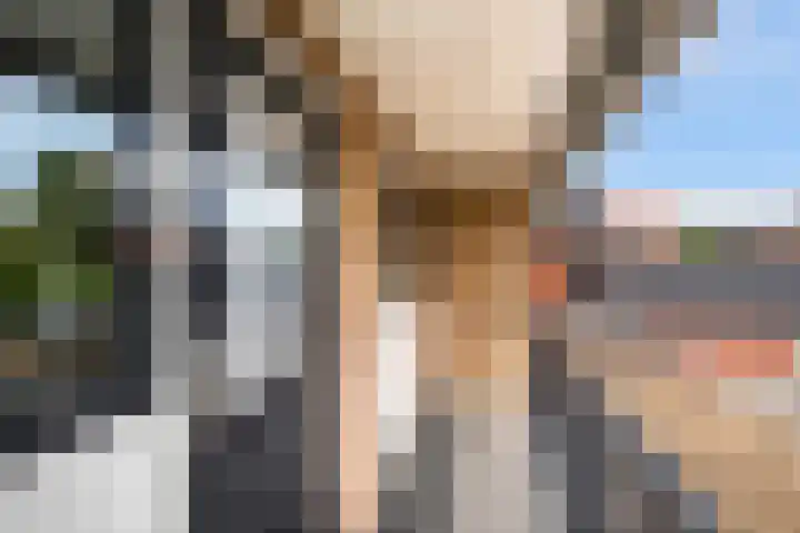 Reeënlaan 7 Lunteren thumbnail 28