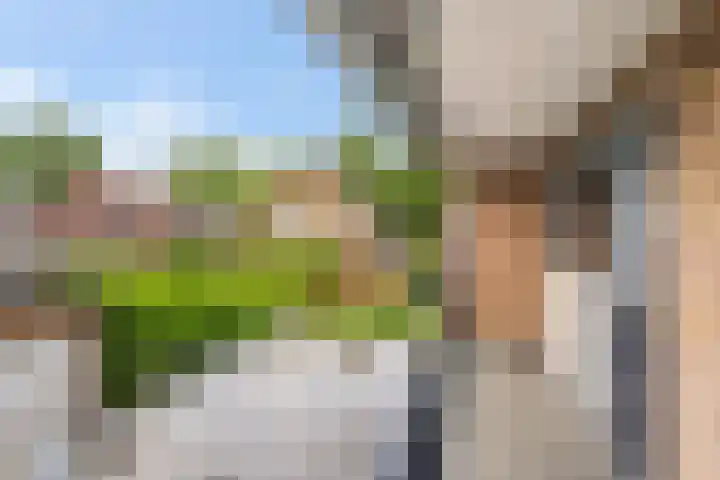 Reeënlaan 7 Lunteren thumbnail 29
