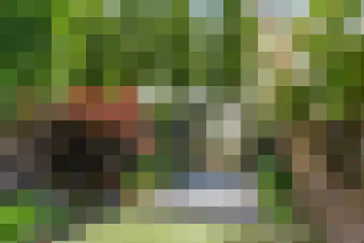 Reeënlaan 7 Lunteren thumbnail 50