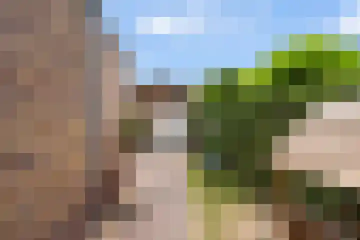Reeënlaan 7 Lunteren thumbnail 52