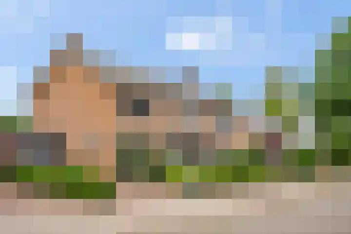 Reeënlaan 7 Lunteren thumbnail 55