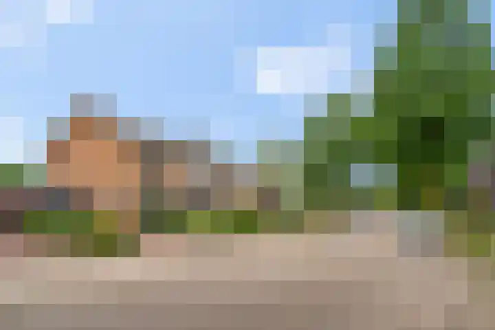 Reeënlaan 7 Lunteren thumbnail 56