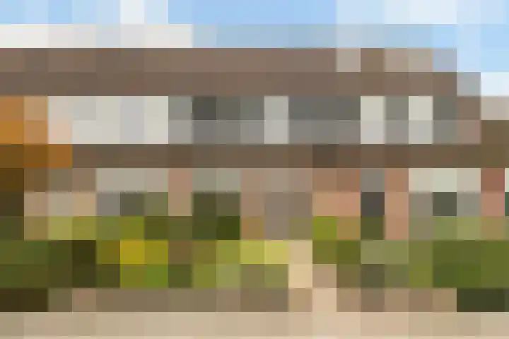 Reeënlaan 73 Lunteren