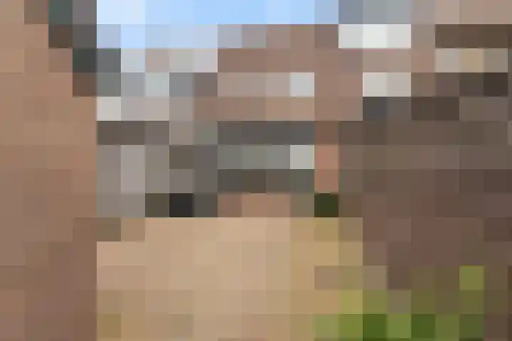 Reeënlaan 73 Lunteren foto 2