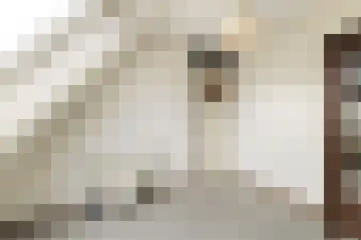 Reeënlaan 73 Lunteren thumbnail 23