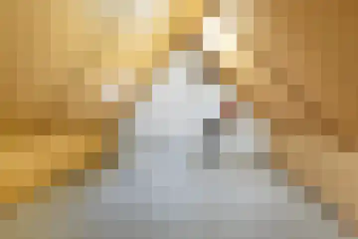 Reeënlaan 73 Lunteren thumbnail 28