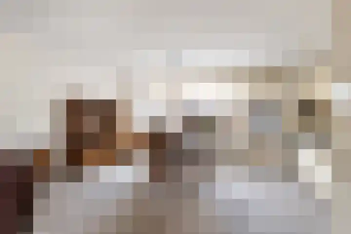 Reeënlaan 73 Lunteren foto 3