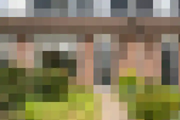 Reeënlaan 73 Lunteren thumbnail 35