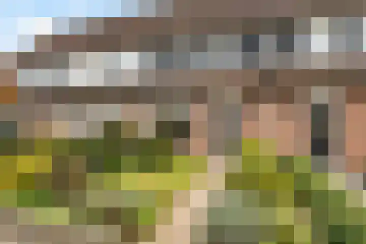 Reeënlaan 73 Lunteren thumbnail 36