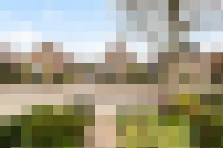 Reeënlaan 73 Lunteren thumbnail 40