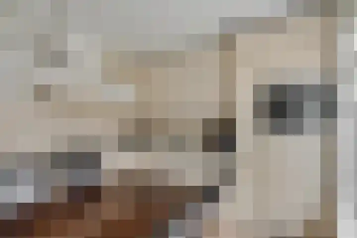Reeënlaan 89 Lunteren thumbnail 11