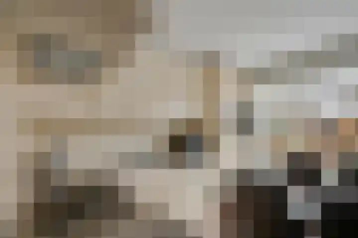 Reeënlaan 89 Lunteren thumbnail 13