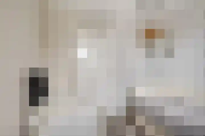 Reeënlaan 89 Lunteren thumbnail 22