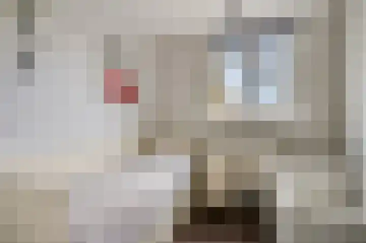 Reeënlaan 89 Lunteren thumbnail 23