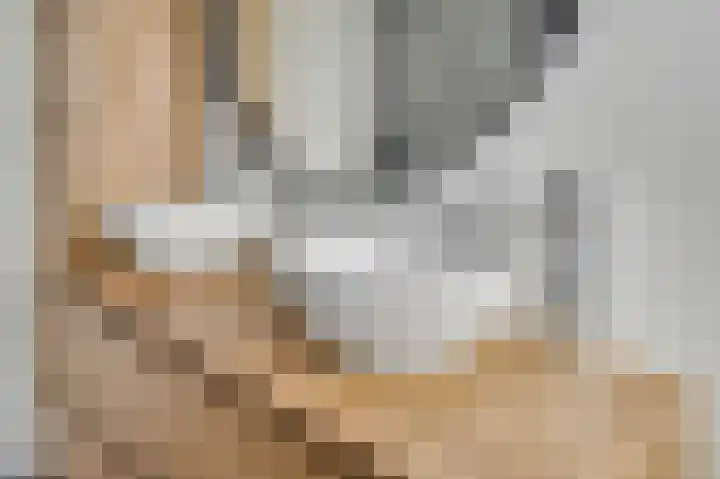 Reeënlaan 89 Lunteren thumbnail 24