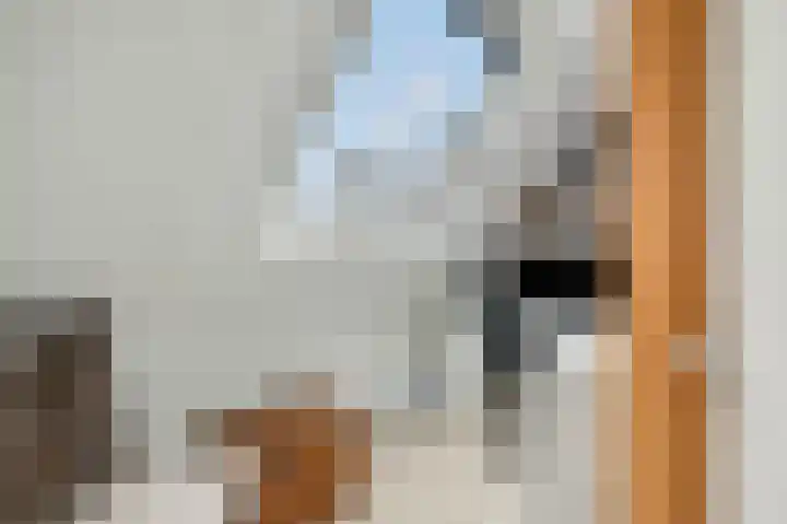 Reeënlaan 89 Lunteren thumbnail 32