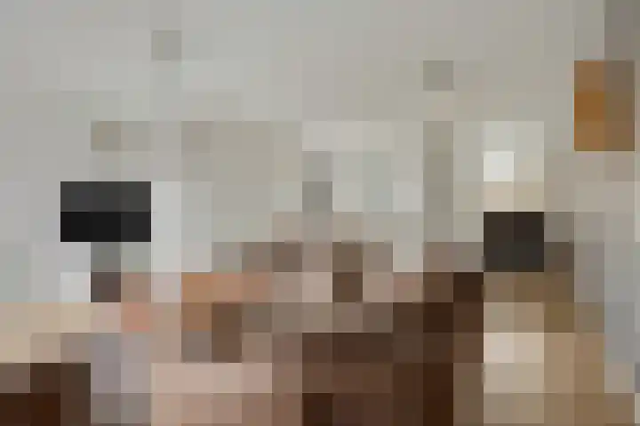 Reeënlaan 89 Lunteren thumbnail 6