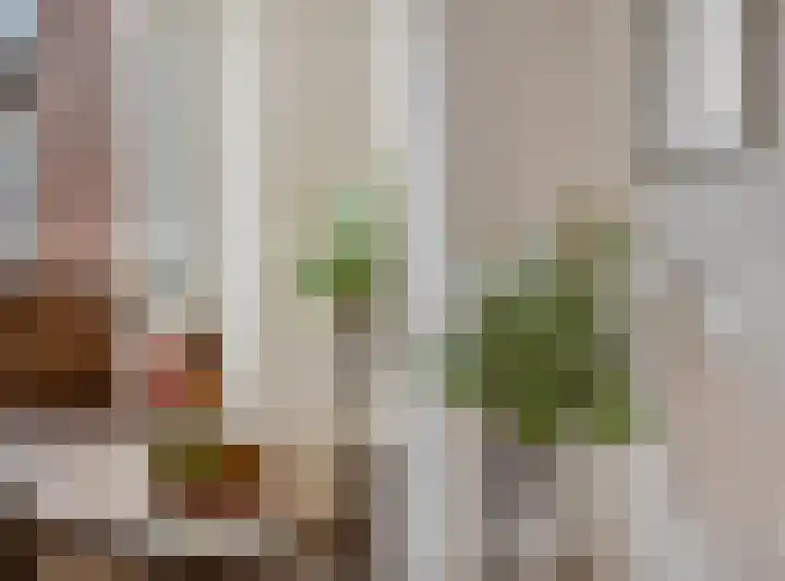 Reeënlaan 89 Lunteren thumbnail 7