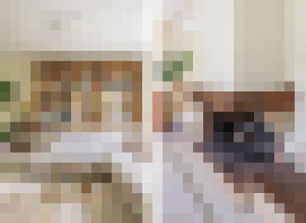 Reeënspoor 5 Hoevelaken thumbnail 16
