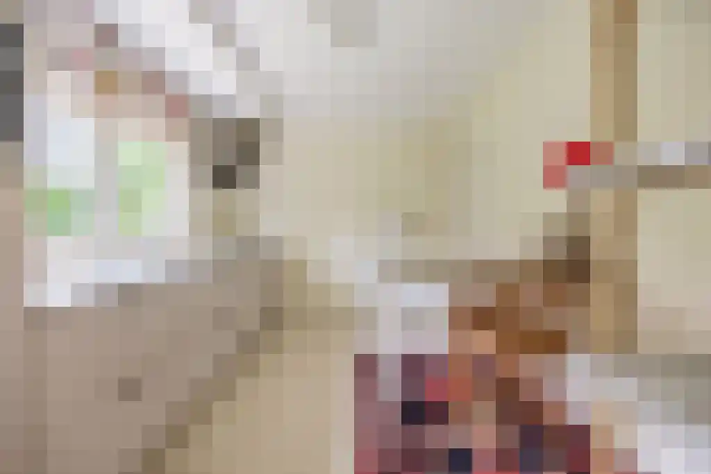 Reeënspoor 5 Hoevelaken thumbnail 21