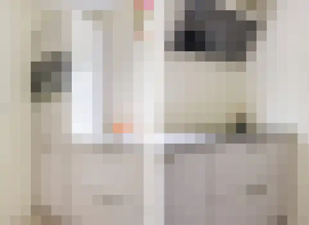 Reeënspoor 5 Hoevelaken thumbnail 22