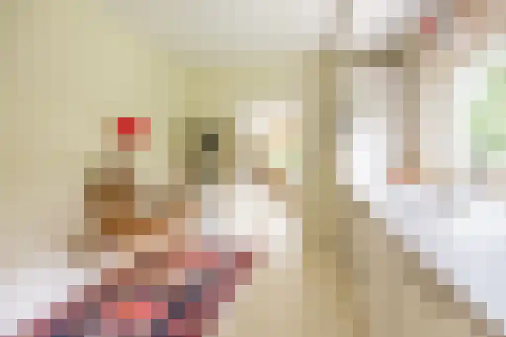 Reeënspoor 5 Hoevelaken thumbnail 25